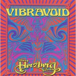 Vibravoid : Burg Herzberg Festival